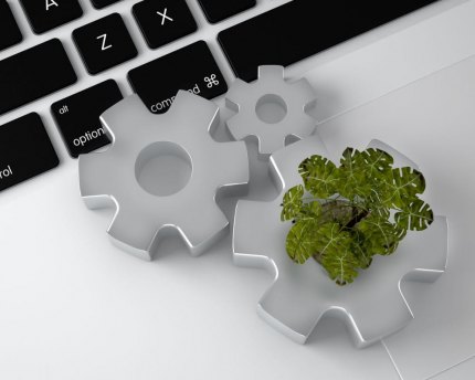 Are companies focused on sustainability? An growing number of business are focused on the environment.